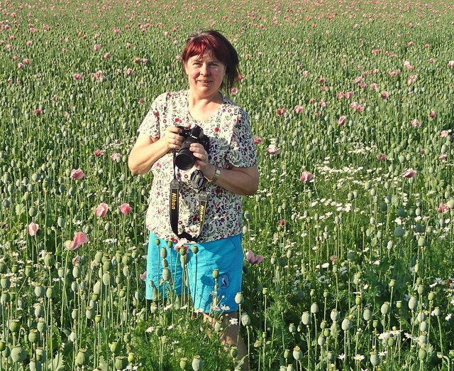 Zuhause in der Natur. Regionautin Birgit Winkler ist ständig auf der Suche nach dem nächsten Motiv und präsentiert das Ergebnis stolz auf meinbezirk.at