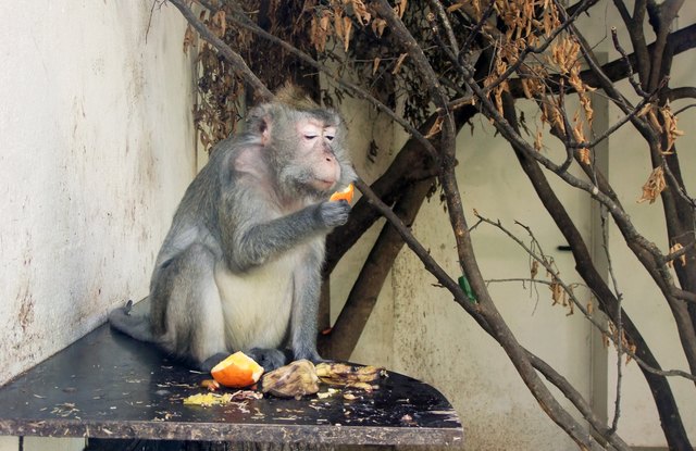 mmmhh ist das lecker