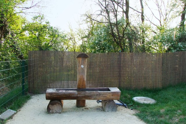 Holzbrunnen im Zoo