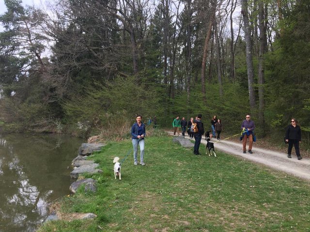 Foto: Wir fürs Tier