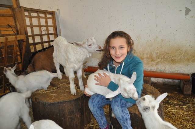 Die elfjährige Valentina macht sich gut als "Zicklein-Flüsterin" und wird von den neugierigen Tieren voll akzeptiert | Foto: Friessnegg