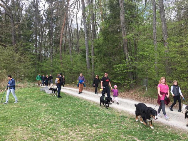 Foto: Wir fürs Tier