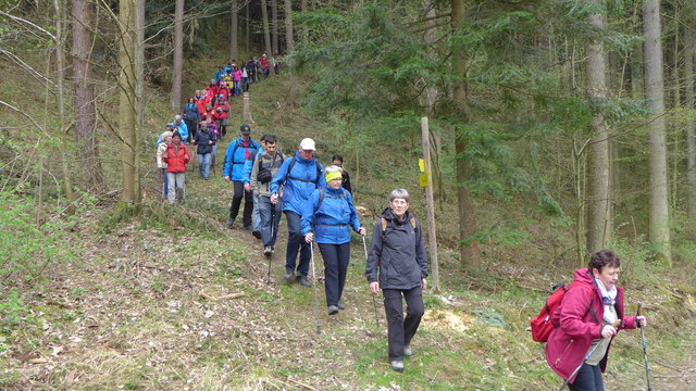 Pilgerweg | Foto: Walter Hübl