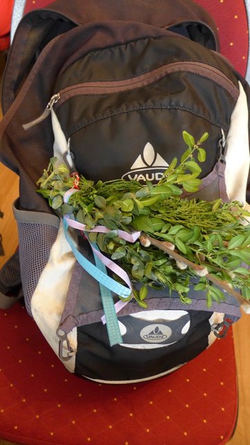 Palmbuschen | Foto: Walter Hübl