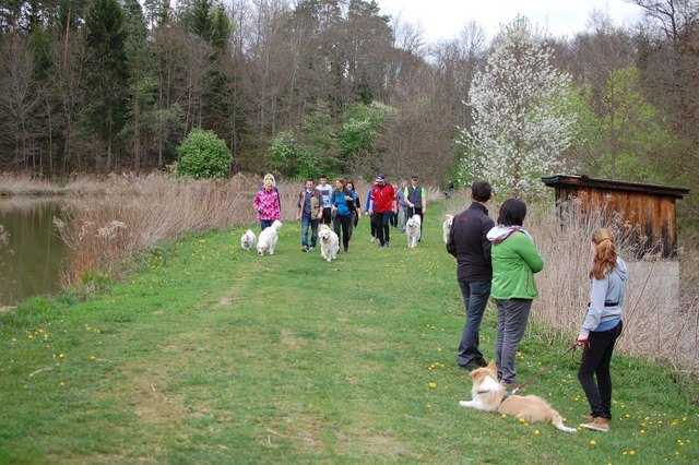 Foto: Wir fürs Tier