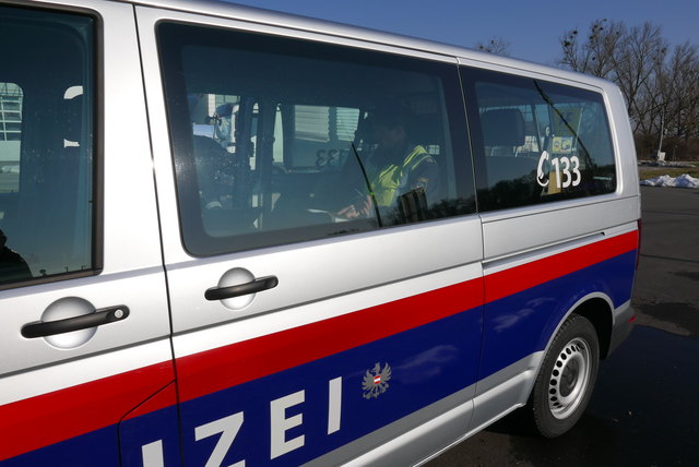 Warum die Lenkerin von der Straße abkam ist noch nicht geklärt.