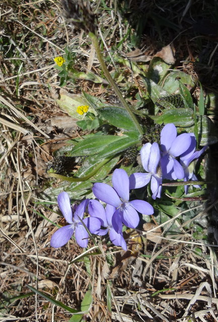 Auch im Kleinen lässt sich viel entdecken.