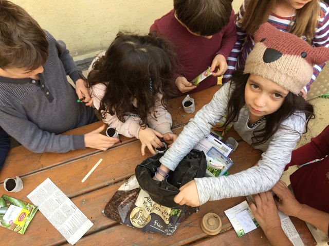 Gemeinsam garteln: Hier werden Kräuter und Gemüse im Schulhof angepflanzt.