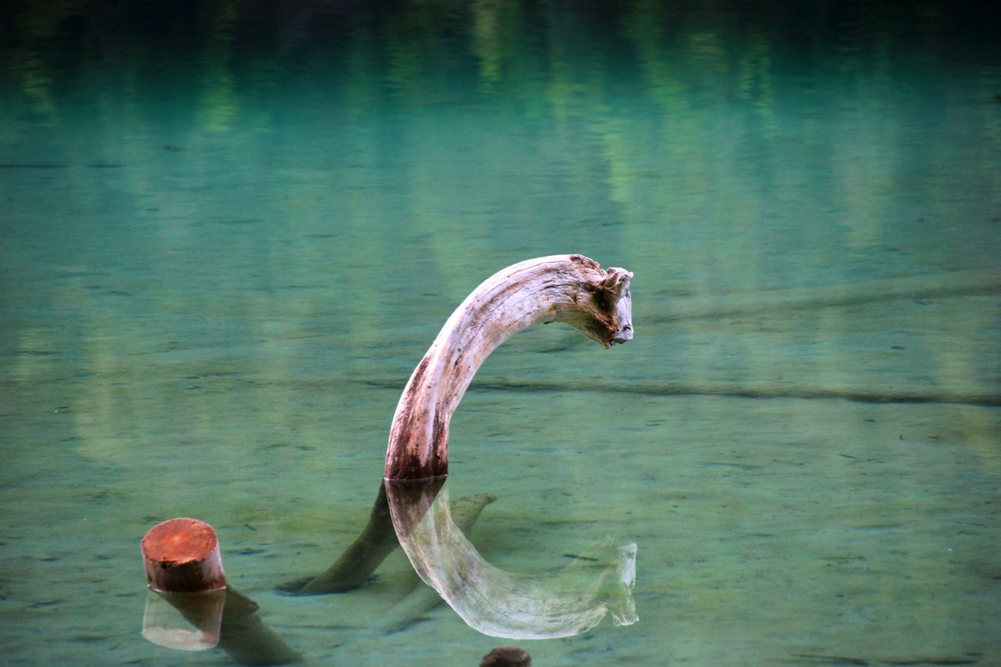 Seeungeheuer Seeungeheuer