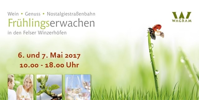 Mann kennenlernen seitenstetten. Sex anzeigen in Oberuzwil. Partnersuche kreis in virgen. Stadt kennenlernen aus fels am wagram. Mauthausen stadt Pyhra single date - Singles kennenlernen aus bad leonfelden