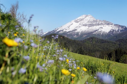 Der Ötscher lädt "noch" zum Wandern ein.