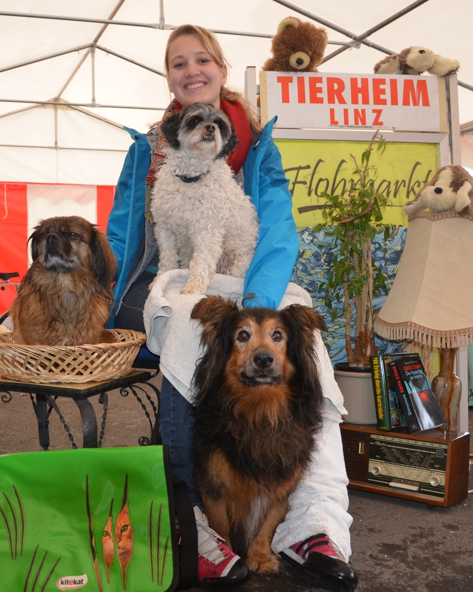 Linzer Tierheim lädt zum Flohmarkt - Linz