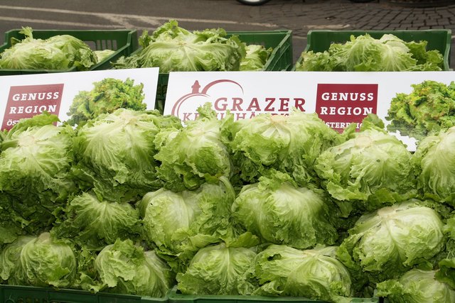 Grazer Krauthäuptel