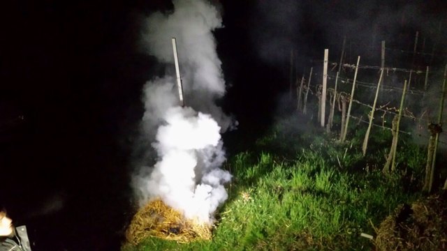 Strohballen gegen den Frost angezündet: bei Familie Steinbauer in Neuberg (Hartberg Umgebung) war die Nacht über auf den Beinen, um sich gegen den Frost zu schützen. | Foto: Steinbauer