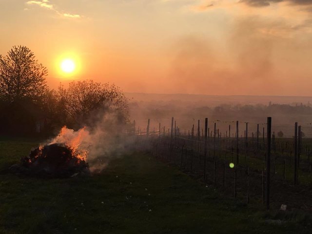 Am Wintner Berg und den übrigen Weinbaugegenden des Pinkabodens zogen Rauchschwaden durch die Nacht und den Morgen. | Foto: Walter Temmel