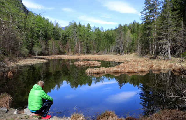 Der alte See ist das Quellgebiet des Tristacher Sees und wird von einem  Verlandungsmoor umgeben