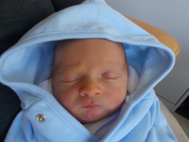 Foto: babygalerie.at