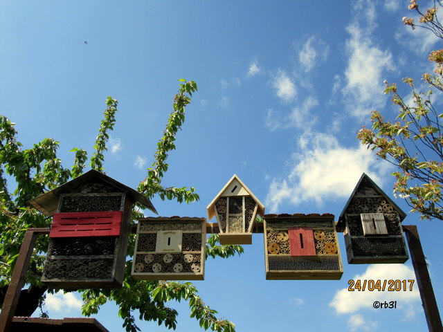 Unsere Gäste dürfen sich freuen. 5 Insektenhotels.