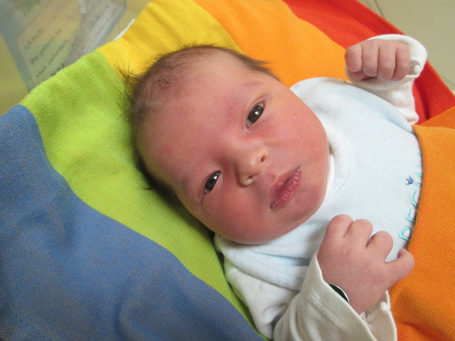Foto: babygalerie.at