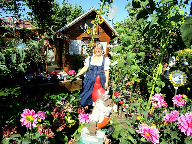 Dirndl mit Wiener Schrebergarten