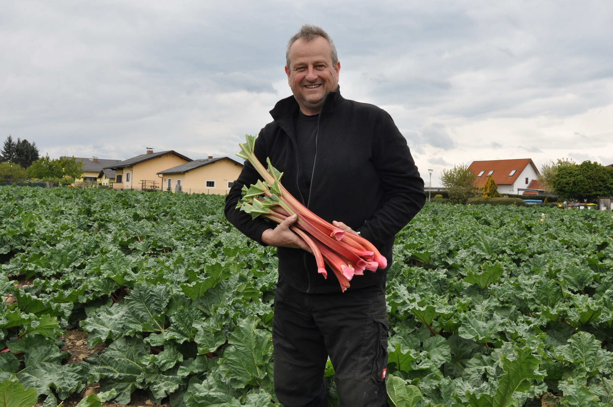 Der letzte Rhabarber - Graz-Umgebung