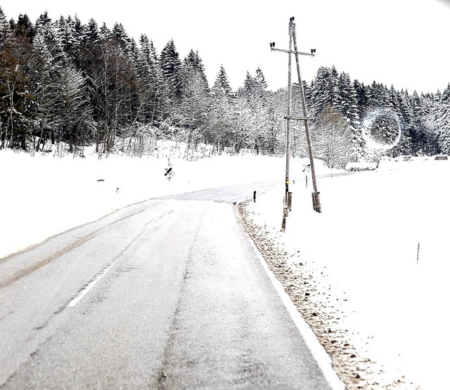 Bei der Anreise im Mühl - Waldviertel am 20. April