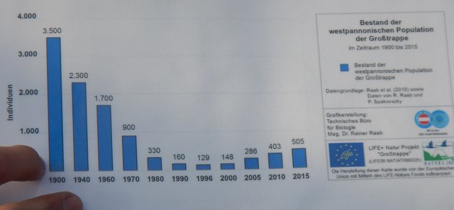 Bestand der westpannonischen Grosstrappe