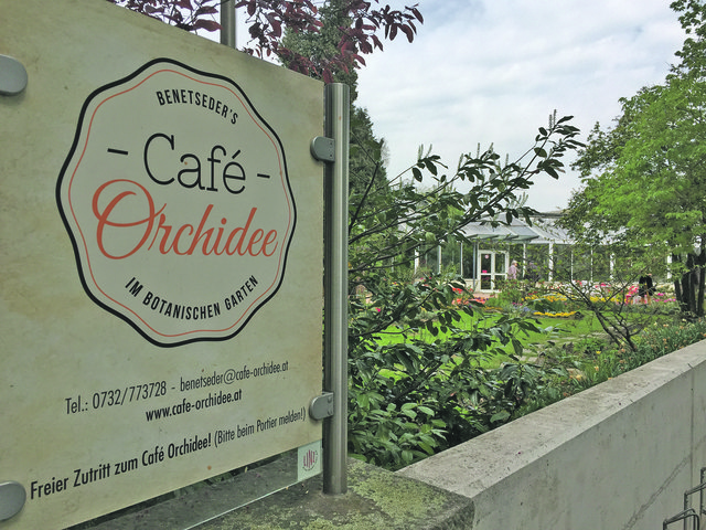 Besonders im Frühling und Sommer ein Highlight: ein Besuch im Café Orchidee im blühenden Botanischen Garten der Stadt. | Foto: BRS