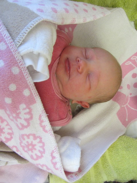 Foto: babygalerie.at