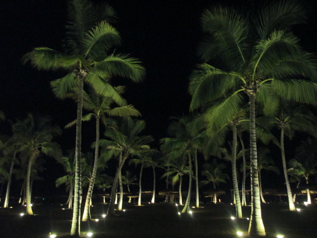 Da lässt es sich aushalten, 22 Grad in der Nacht, Meerrauschen, Sandstrand und Palmen...