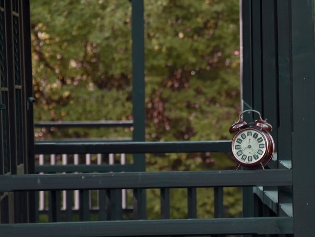 gestern bei einem Spaziergang entdeckt