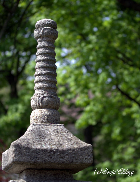 Blickfang im Japangarten