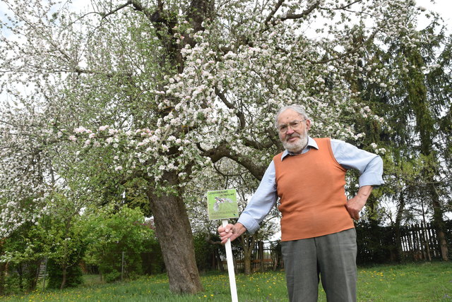 Wie alt genau Helmut Wagners Baum ist und um welche Sorte es sich handelt, kann kein Mensch mehr sagen. Auch heuer blühte der Baum-Methusalem wieder prächtig.