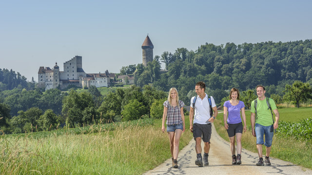 Über Forstwege und Wanderpfade zur historischen Stadt Grein | Foto: WGD Donau Oberösterreich Tourismus GmbH/Hochhauser