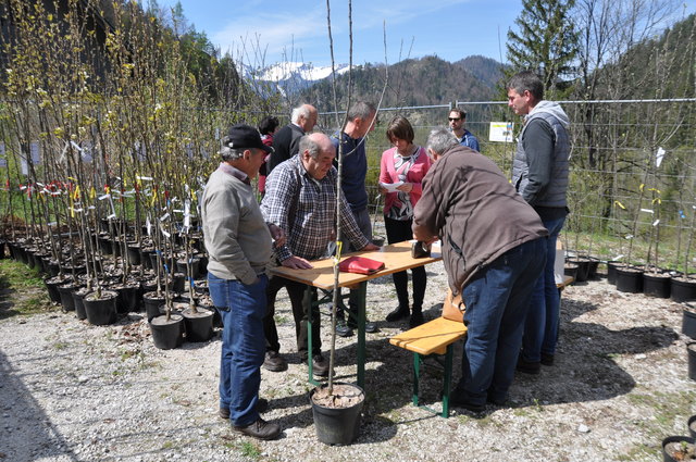 "Pflanz dir selber einen regionalen Obstbaum." Unter diesem Motto stand die Veranstaltung. | Foto: Foto: NP Steir. Eisenwurzen