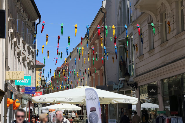 Bunte Vögel bezwitschern die Klagenfurter Innenstadt