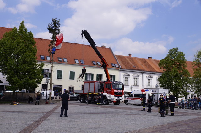 Spektakulär: Die Feuerwehr rettet einen Fallschirmspringer aus dem Geäst eines Baumes. | Foto: KK