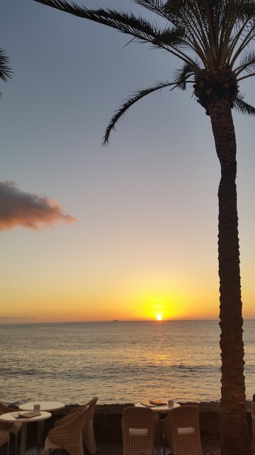 Frühling in Teneriffa