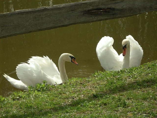Frühling