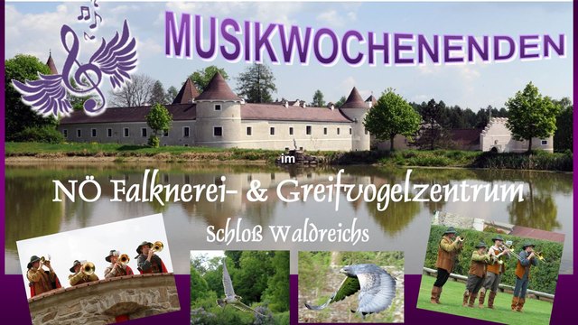 Musikwochenende im Greifvogelzentrunm