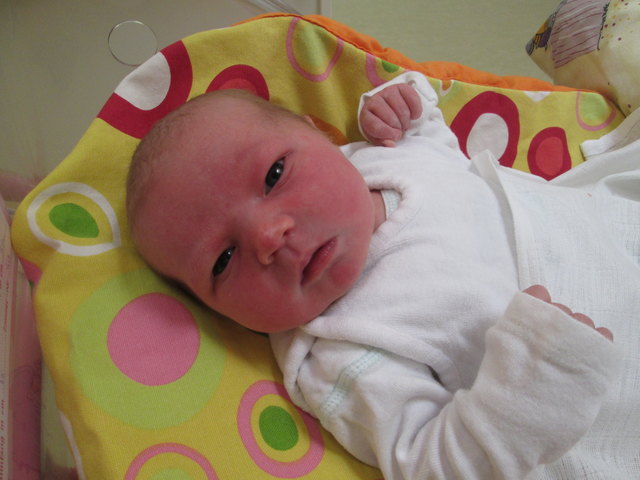 ROSA WAGNER Geboren: 24.04.2017 um 04:40 Uhr; Größe: 51 cm; Gewicht: 3.770 g; Wohnort: 3701 Großweikersdorf