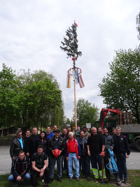 Der Maibaum steht im "Valentin-Leitgelb-Park" in Kühnsdorf