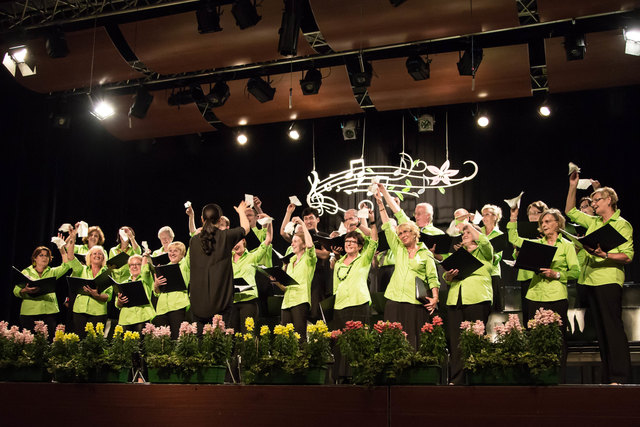 Singkreis Lannach (beim Lied "Seemann - Deine Heimat ist das Meer")