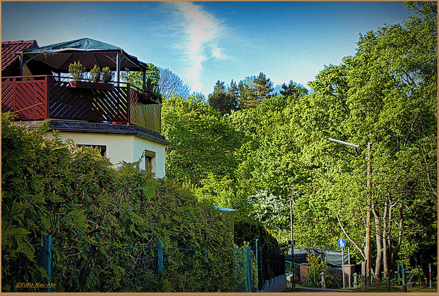Man bewegt sich im Wienerwald.. unverkennbar!