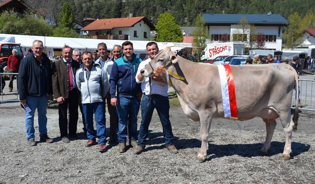 Die Gesamtsiegerin bei den Kühen stammt vom Mutterhaus der Barmherzigen Schwestern in Zams.