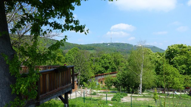 Blick zum Kahlenberg
