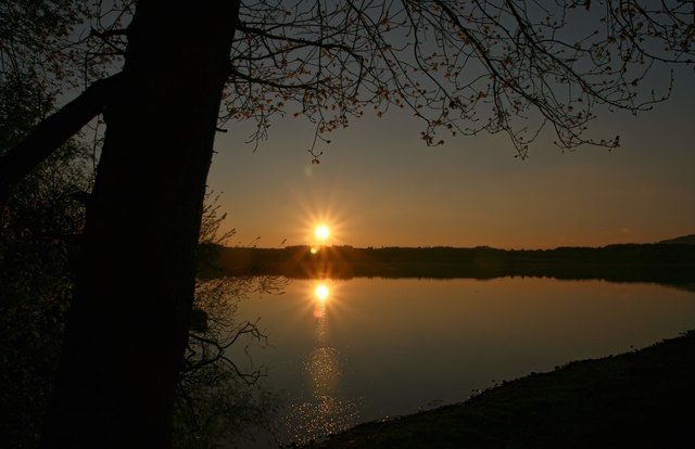 Fotografiert vor kurzem am Fenninger Spitz / Henndorf