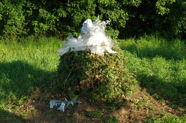 "Abgefallen" von Hanna Scheibenpflug