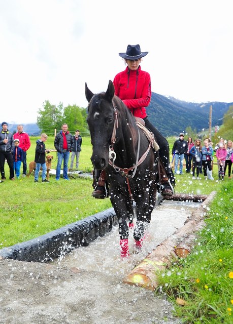 Der Wassergraben ist auch fixer Bestandteil des Natural Horse Trails in Grinzens.