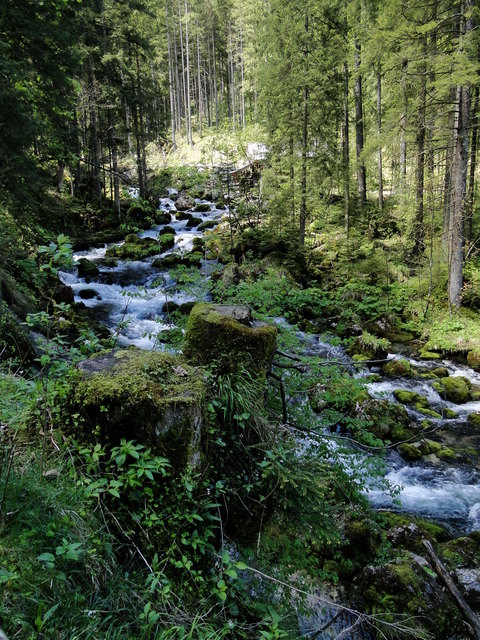 der Auslauf